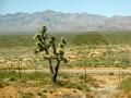 14-Valley of Fire 0001